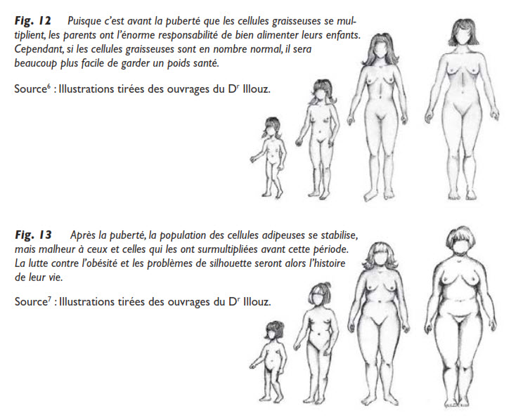 graisse, La distribution de la graisse chez l’humain, Medicoesthetique.com